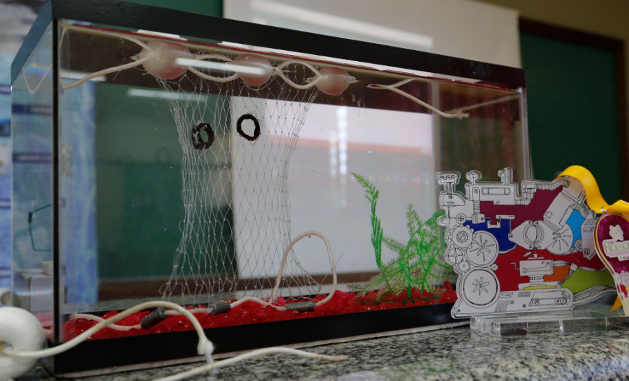 Paranaenses ganham concurso com projeto de rede de pesca Os estudantes Rayane Silva Bueno, 17 anos, e Diego Modesto Cordeiro, 17 anos, do 3° ano do ensino médio do Colégio Estadual Maria de Lourdes Morozowski, em Paranaguá (no Litoral), ficaram em primeiro lugar na 5º edição da Feira de Inovação das Ciências e Engenharias (Ficiências), na categoria melhor trabalho