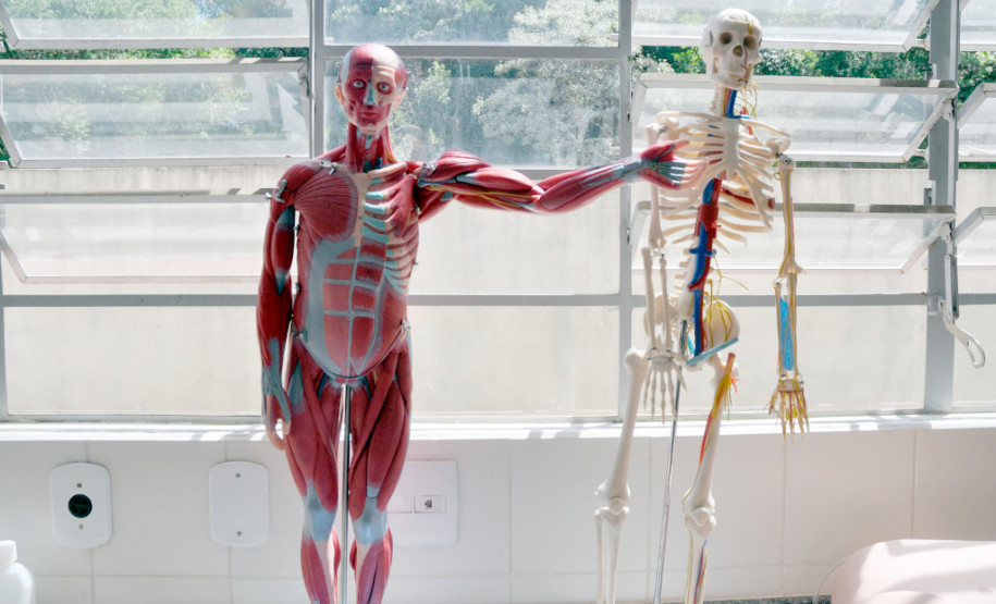 O laboratório de enfermagem do CEEP de Pitanga, por exemplo, conta com bonecos simuladores de massagem cardíaca (equipado com sistema eletrônico que alerta se o procedimento está sendo feito da maneira correta), sonda vesical nasogástrica e sistema de gestação