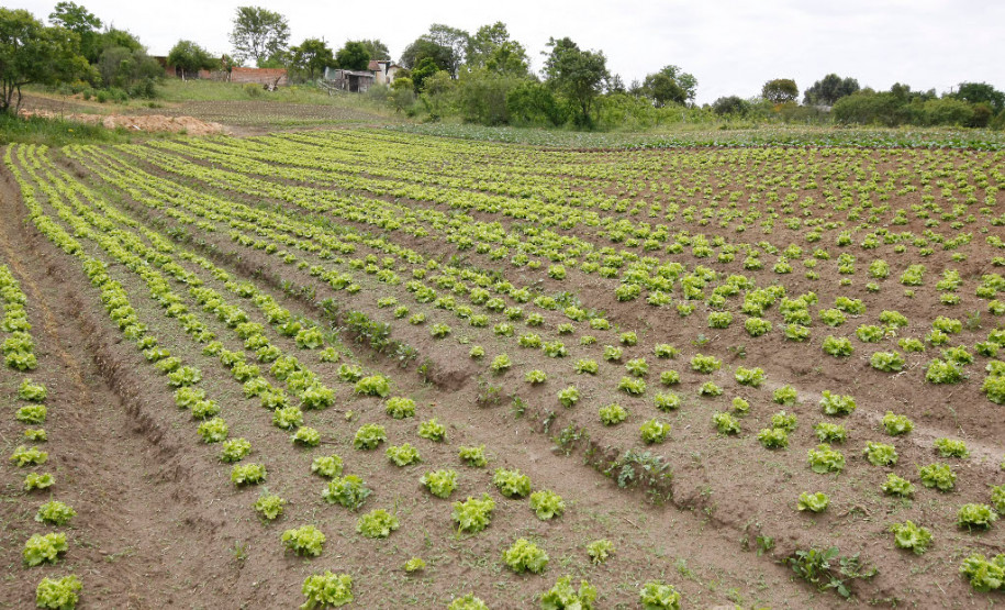O Governo do Paraná, por meio da Secretaria de Estado da Educação, inicia nessa sexta-feira (10) a Chamada Pública nº 001/2017 para seleção de cooperativas e associações da agricultura familiar, que irão fornecer alimentos da Agricultura Familiar direto do produtor às 2,1 mil escolas da rede estadual de ensino