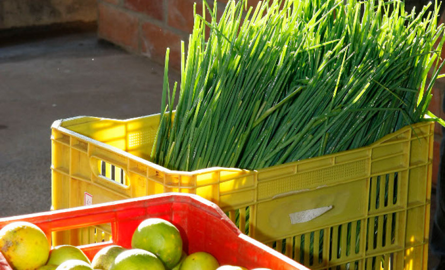 O Governo do Paraná, por meio da Secretaria de Estado da Educação, inicia nessa sexta-feira (10) a Chamada Pública nº 001/2017 para seleção de cooperativas e associações da agricultura familiar, que irão fornecer alimentos da Agricultura Familiar direto do produtor às 2,1 mil escolas da rede estadual de ensino