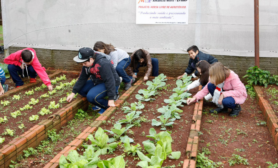 A preocupação com a preservação ambiental, combate ao desperdício, pesquisas de fontes alternativas de energia e a promoção de hábitos alimentares saudáveis estão entre os temas trabalhados nas escolas estaduais, por meio de projetos educacionais voltados à sustentabilidade