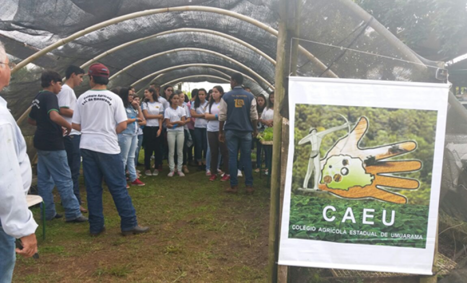 O “Dia do Campo” reuniu mais de 400 estudantes de escolas da rede estadual, municipal e particular da região que conheceram os projetos e atividades desenvolvidas na escola