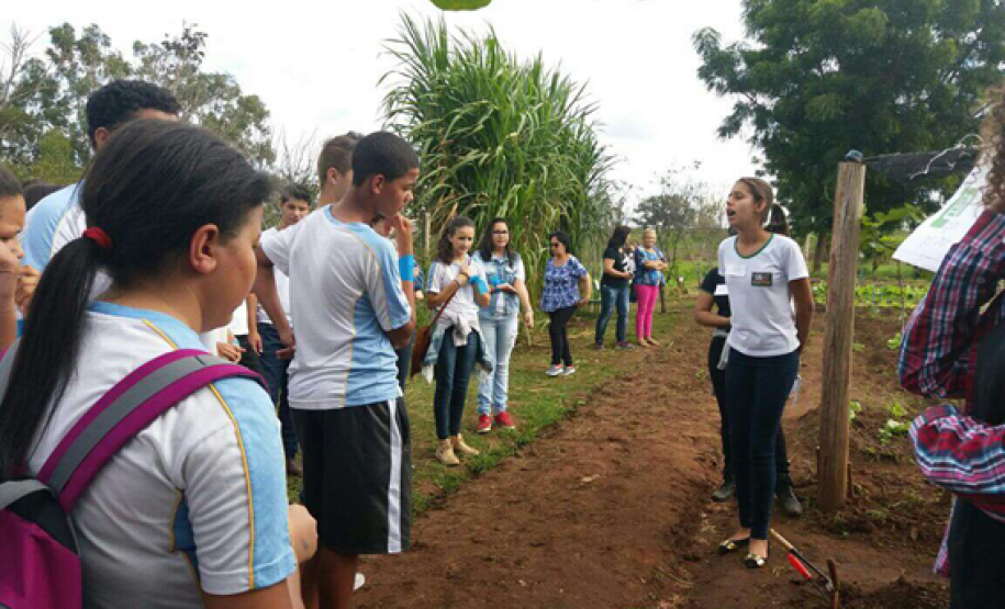 O “Dia do Campo” reuniu mais de 400 estudantes de escolas da rede estadual, municipal e particular da região que conheceram os projetos e atividades desenvolvidas na escola