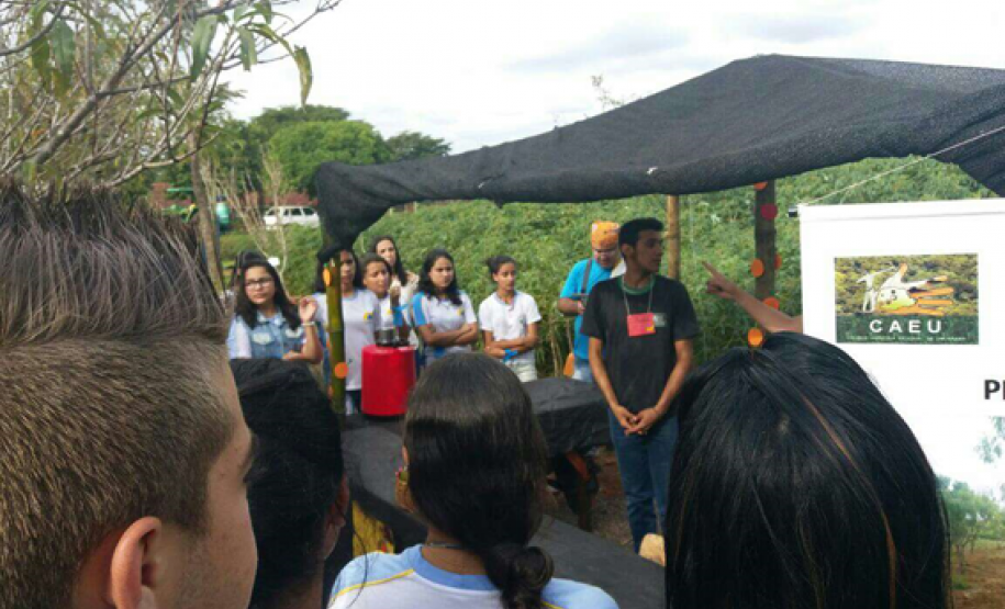 O “Dia do Campo” reuniu mais de 400 estudantes de escolas da rede estadual, municipal e particular da região que conheceram os projetos e atividades desenvolvidas na escola