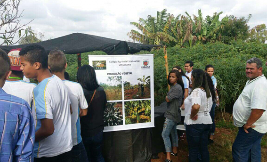 O “Dia do Campo” reuniu mais de 400 estudantes de escolas da rede estadual, municipal e particular da região que conheceram os projetos e atividades desenvolvidas na escola