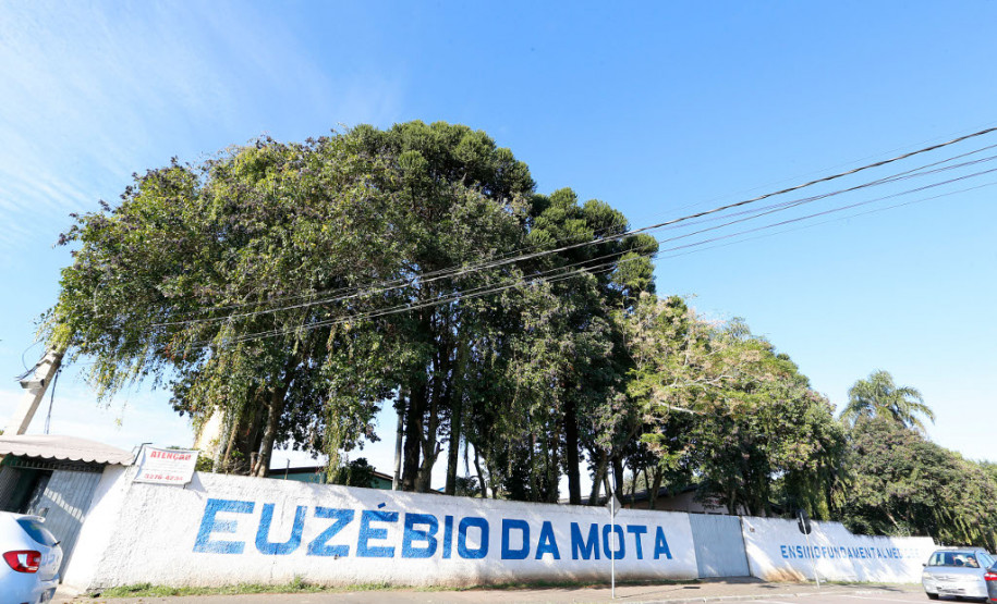 O Colégio Euzébio da Motta, no bairro Boqueirão, em Curitiba, realizou na manhã desta quinta-feira (25), atividades em comemoração aos 70 anos de história da Secretaria de Estado da Educação (SEED).