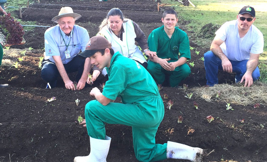Um projeto desenvolvido em parceria pela Emater, Fundepar e secretarias de Estado da Agricultura e da Educação, com o apoio da Prefeitura de Curitiba, vai garantir a instalação de hortas escolares em 23 em colégios estudais de Curitiba e três de Colombo, no segundo semestre. A capacitação técnica de pedagogos, professores e diretores que vão fazer esse trabalho com os alunos acontece na sexta-feira (30), na Capital.