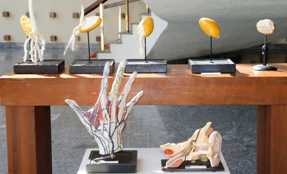 No hall de entrada do palco principal do Teatro Guaíra os visitantes puderam conhecer um pouco mais sobre a evolução da educação pública, graças a uma mostra promovida pelo Museu da Escola Paranaense. Os convidados puderam ver parte do acervo que inclui uniformes, livros, fotografias e mobiliários que representam a evolução da educação no Estado. Entre os itens estão as antigas carteiras com espaço para tinteiro, mesas para desenho e os tradicionais uniformes com saia plissada.