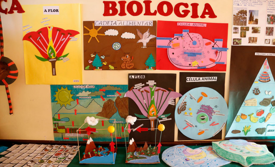 A secretária de Estado da Educação, professora Ana Seres, visitou nesta quinta-feira (28) o Colégio Estadual Indígena Rio das Cobras, que foi a primeira unidade indígena da rede estadual de ensino. A escola está localizada na terra indígena de mesmo nome, no município de Nova Laranjeiras, no Centro-Sul do Paraná.