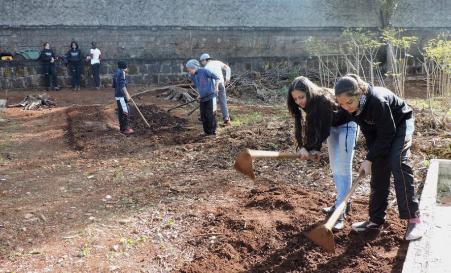 O Colégio Estadual Monteiro Lobato, de Dois Vizinhos (região Sudoeste), trabalha com Educação em Tempo Integral e também com o Programa Novo Mais Educação. “A jornada ampliada traz muitos benefícios aos estudantes. Amplia a conscientização deles quanto a vários temas atuais, ficam mais participativos e interessados”, afirma a diretora Helena Maria Guareschi.