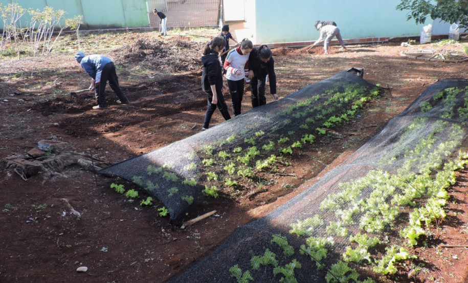 O Colégio Estadual Monteiro Lobato, de Dois Vizinhos (região Sudoeste), trabalha com Educação em Tempo Integral e também com o Programa Novo Mais Educação. “A jornada ampliada traz muitos benefícios aos estudantes. Amplia a conscientização deles quanto a vários temas atuais, ficam mais participativos e interessados”, afirma a diretora Helena Maria Guareschi.