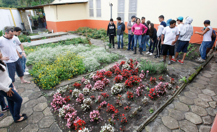 Profissionais da Educação recebem mais de R$ 98 milhões Para o ano que vem, o Estado estima em R$ 174,8 milhões o custo das promoções e progressões da educação.