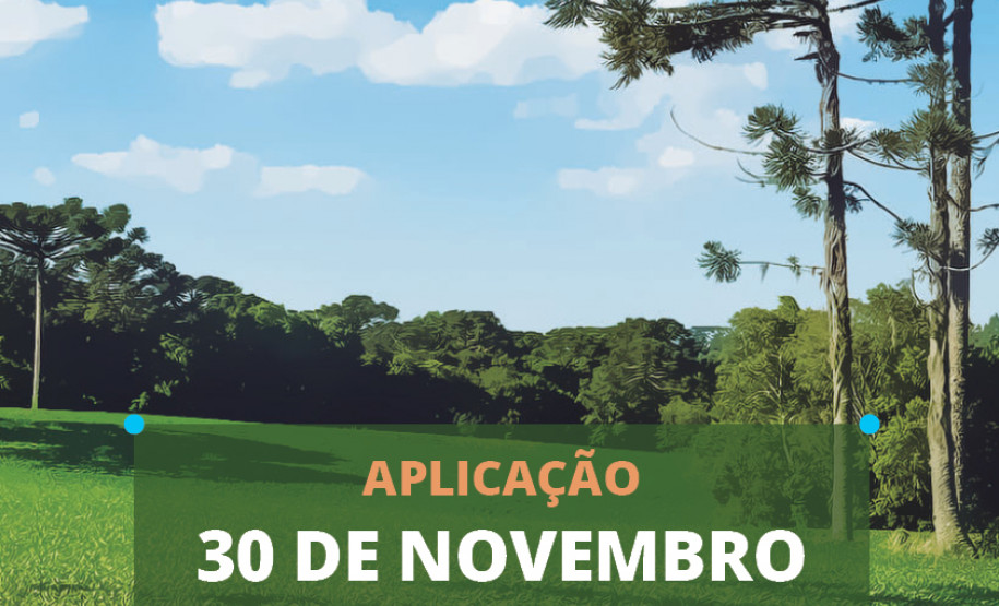 Sistema de Avaliação da Educação Básica do Paraná será aplicado para estudantes do 9º ano do fundamental e 3ª/4ª série do Ensino Médio.