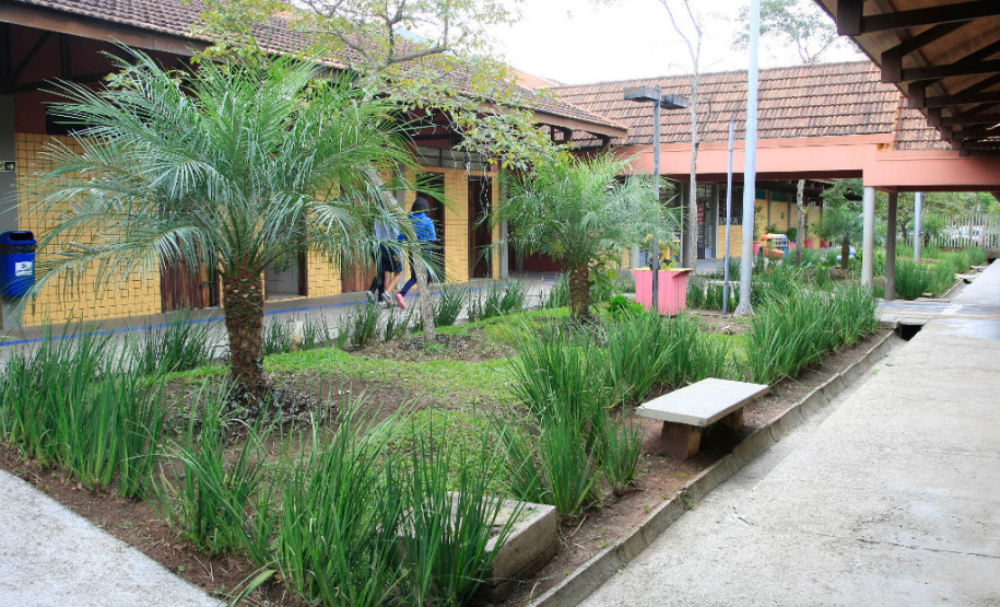 As matrículas na rede estadual de ensino começam nesta segunda-feira (04) e vão até sexta-feira (08)