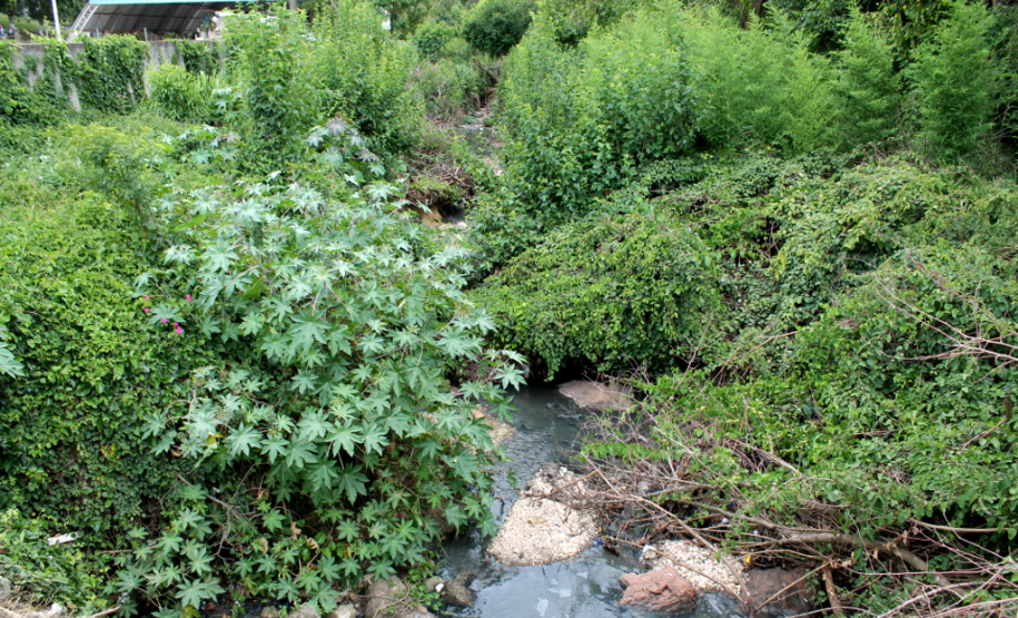 Incomodados com o mau cheiro do rio, os alunos, orientados pelos professores, fizeram um mapeamento hidrográfico da região, além do resgaste histórico e análise da fauna, flora e da qualidade da água