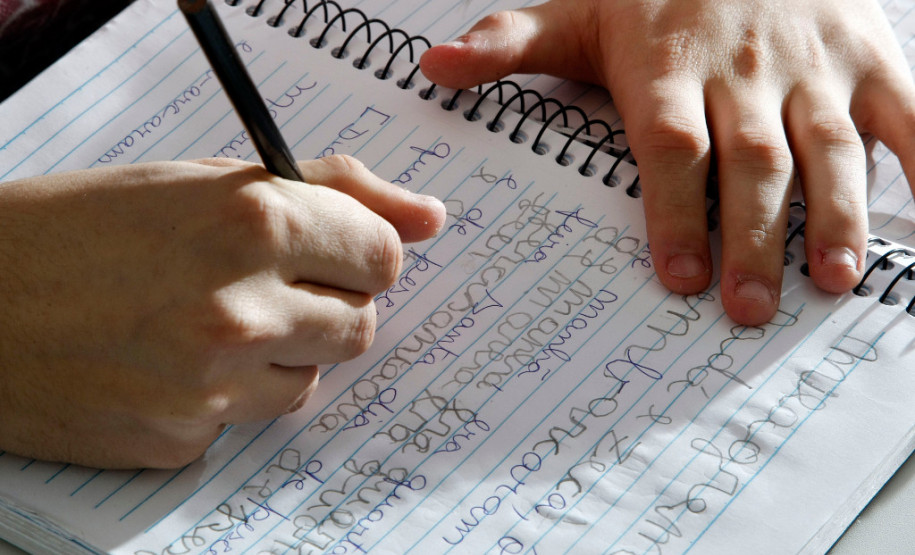 Estão abertas até 05 de fevereiro as inscrições para a segunda seleção do Programa Paraná Alfabetizado. As vagas são para voluntários nas funções de alfabetizador e de coordenador de turmas. Os candidatos selecionados e que compuserem turmas receberão uma bolsa mensal paga pelo Fundo Nacional de Desenvolvimento da Educação (FNDE) do Ministério da Educação (MEC).