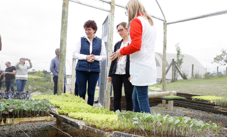 Colégio estadual de Campo Magro recebe kit tecnológico Em 2017 o colégio foi classificado em terceiro lugar no Prêmio Gestão Paraná, que elegeu as escolas que trabalham com projetos pedagógicos inovadores