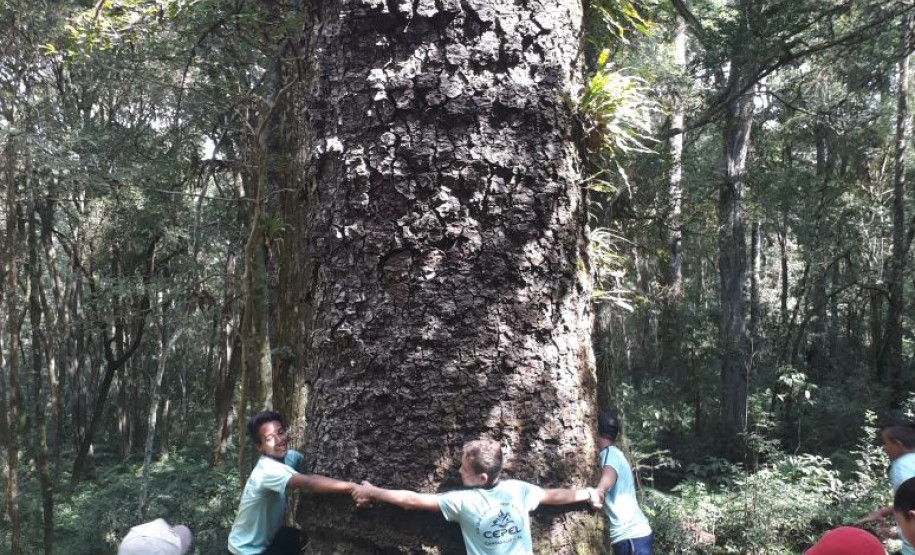 Pais e alunos escolhem disciplinas no ensino integral Proposta contribui para o enriquecimento do currículo, desenvolvimento e interação entre estudantes, além de incentivar a convivência e a troca de experiências.