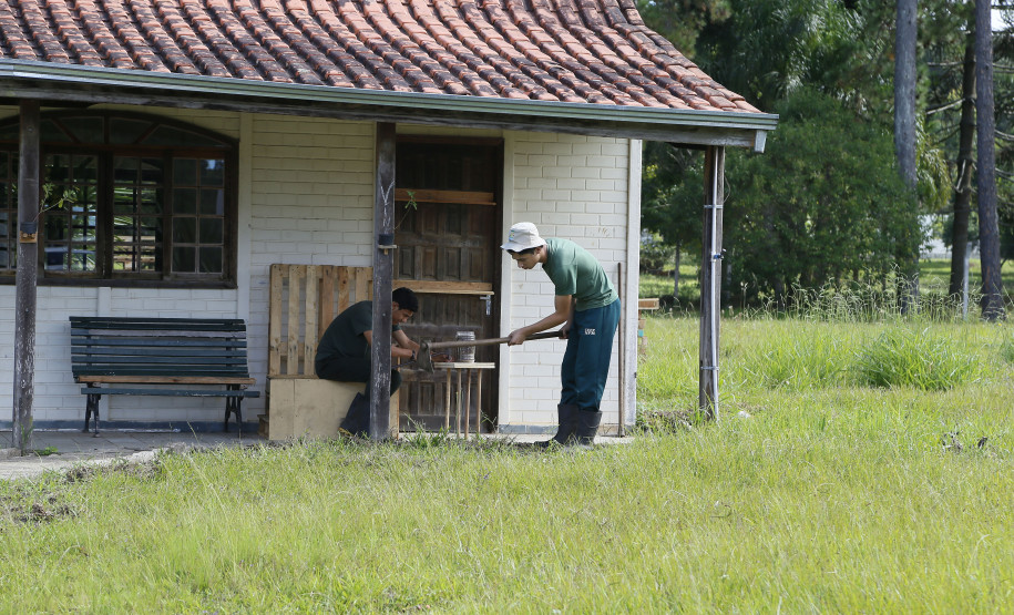 Secretaria Estadual de Educação do Paraná; CEEP Newton Freire Maia, curso de Meio Ambiente com o projeto de revetalização de áreas verdes do colégio. 17-04-18. Foto: Hedeson Alves
