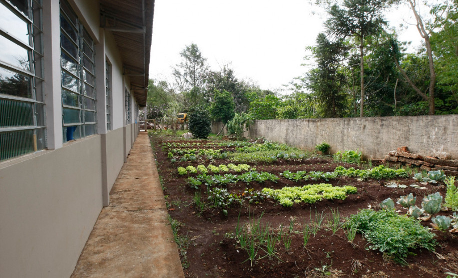 A governadora Cida Borghetti autorizou nesta quarta-feira (25) a liberação de R$ 1,8 milhão para custear a educação de estudantes que vivem nos acampamentos do Movimento dos Trabalhadores Rurais Sem Terra (MST) do Paraná. <br />
<br />
Na imagem, Colégio Estadual do Campo Ireno Alves dos Santos, no Assentamento Ireno Alves dos Santos, em Rio Bonito do Iguaçu. Foto de arquivo.