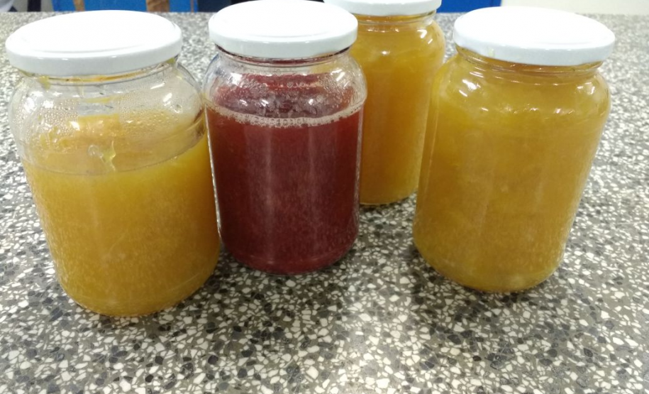 A Secretaria da Educação tem uma oferta variada de cursos profissionalizantes ligados ao agronegócio, setor responsável por cerca de 40% da economia paranaense. Um deles é o Curso Técnico em Agroindústria, disponível na modalidade subsequente no Centro Estadual de Educação Profissional (CEEP) Olegário Macedo, em Castro, região Centro Oriental paranaense.