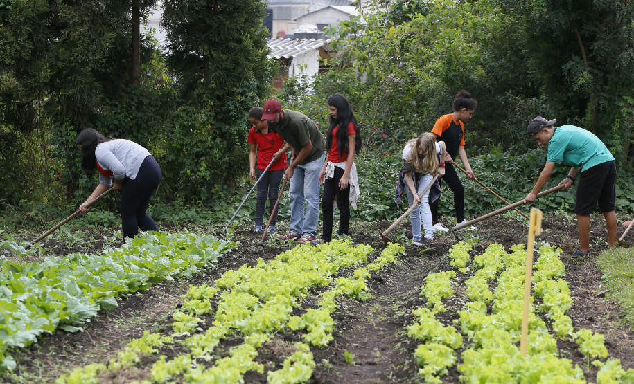 Secretaria Estadual de Educação do Paraná; Vila da Cidadania em Piraquara, alunos de diversos colégios participam de oficinas oferecidas dentro da cidade mirin como atividades de culinária, esporte, jardinagem entre outras. 17-04-18. Foto: Hedeson Alves