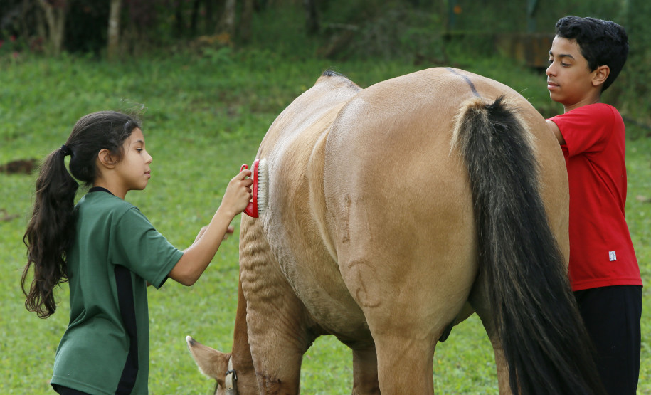 Secretaria Estadual de Educação do Paraná; Vila da Cidadania em Piraquara, alunos de diversos colégios participam de oficinas oferecidas dentro da cidade mirin como atividades de culinária, esporte, jardinagem entre outras. 17-04-18. Foto: Hedeson Alves