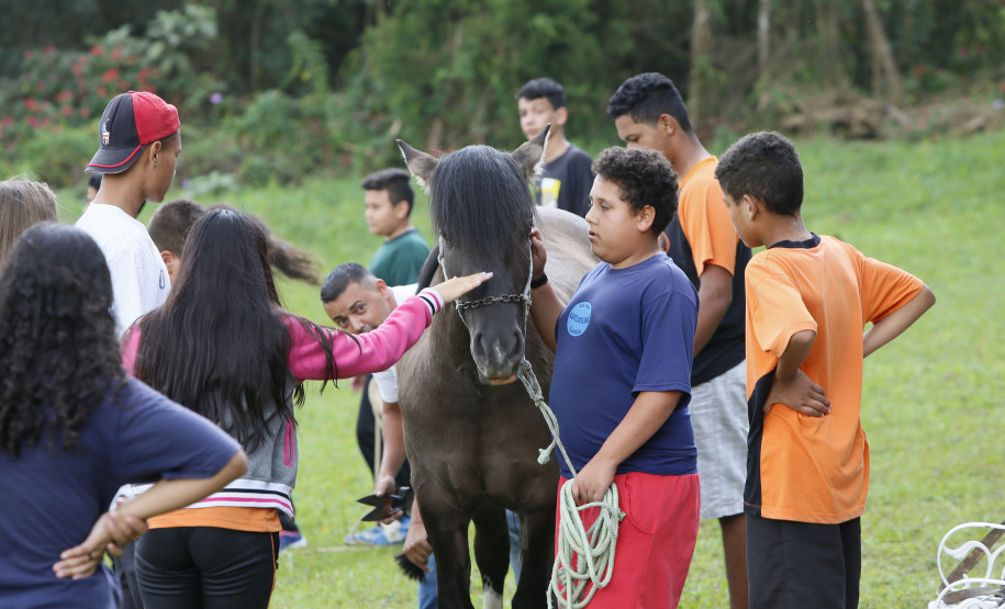 Secretaria Estadual de Educação do Paraná; Vila da Cidadania em Piraquara, alunos de diversos colégios participam de oficinas oferecidas dentro da cidade mirin como atividades de culinária, esporte, jardinagem entre outras. 17-04-18. Foto: Hedeson Alves