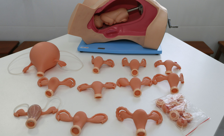 Curso técnico atende pedido de moradores de município da RMC Secretaria Estadual de Educação do Paraná; Colégio Estadual Sagrada Familia em Campo Largo, implementação do curso de Enfermagem, com aquisição de livros técnicos e itens para o laboratório. 11-05-18. Foto: Hedeson Alves