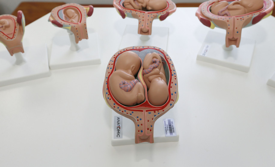 Curso técnico atende pedido de moradores de município da RMC Secretaria Estadual de Educação do Paraná; Colégio Estadual Sagrada Familia em Campo Largo, implementação do curso de Enfermagem, com aquisição de livros técnicos e itens para o laboratório. 11-05-18. Foto: Hedeson Alves