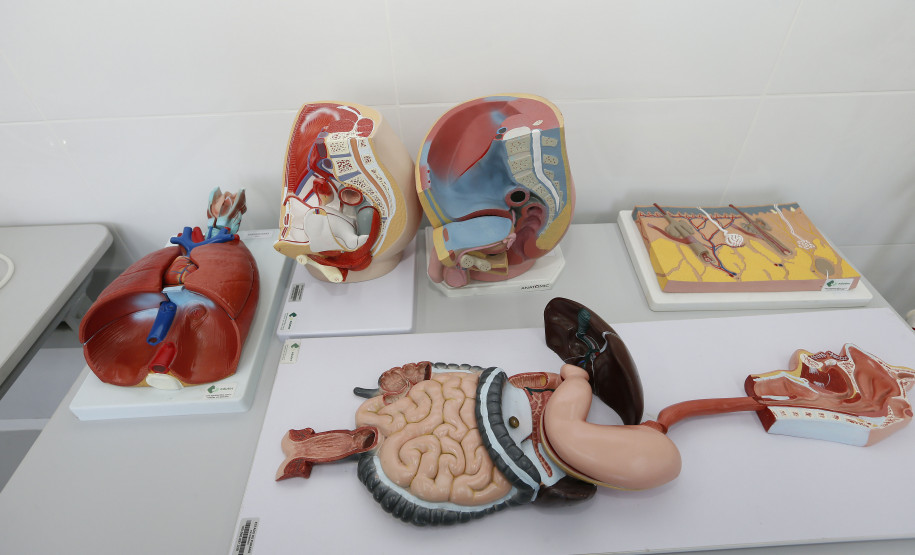 Curso técnico atende pedido de moradores de município da RMC Secretaria Estadual de Educação do Paraná; Colégio Estadual Sagrada Familia em Campo Largo, implementação do curso de Enfermagem, com aquisição de livros técnicos e itens para o laboratório. 11-05-18. Foto: Hedeson Alves