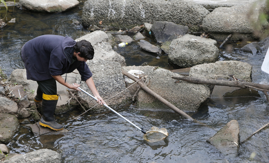 Secretaria Estadual de Educação do Paraná; Alunos do CEEP Newton Freire participão junto com a Sanepar de ação no Rio Timbu, no bairro Jardim Paulista, destribuindo panfletos para os moradores, plantando árvores e coletando água do rio para análise. 25-05-18. Foto: Hedeson Alves