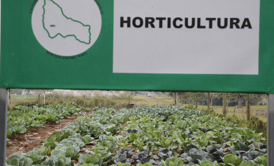 Secretaria Estadual de Educação do Paraná; Feira de profissões no CEEP Newton Freire. 13-06-18. Foto: Hedeson Alves