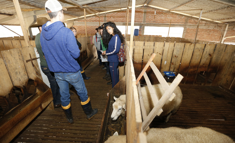 Secretaria Estadual de Educação do Paraná; Feira de profissões no CEEP Newton Freire. 13-06-18. Foto: Hedeson Alves