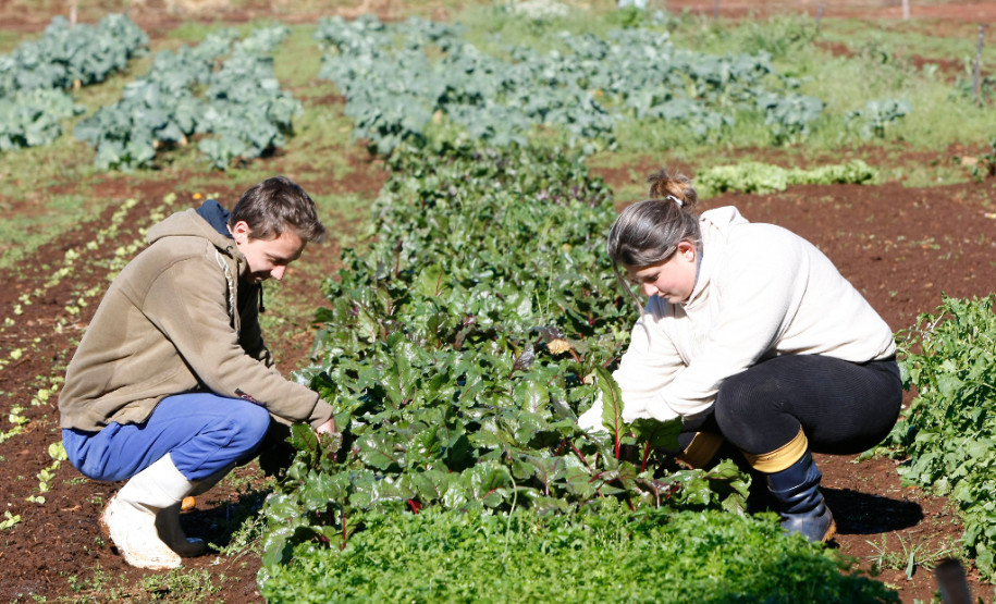 Vão até esta quinta-feira (21) as inscrições dos cursos técnicos da Secretaria da Educação do Paraná para o segundo semestre de 2018