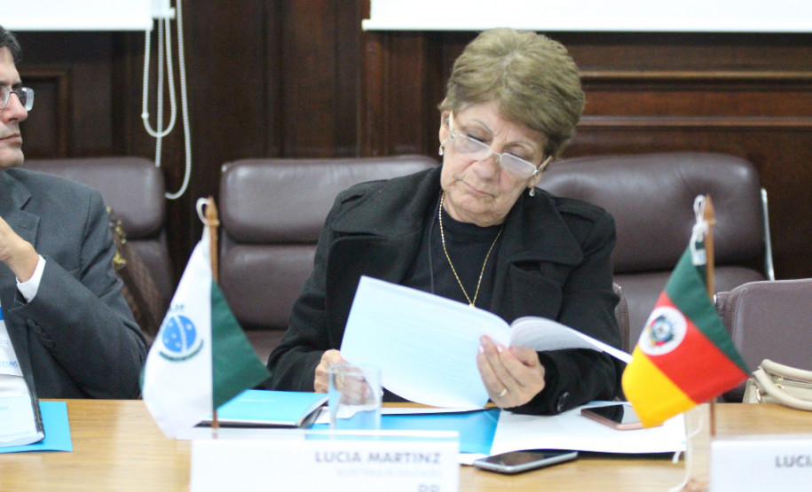 “Graças a esta reunião temos uma visão panorâmica dos Documentos Normativos do novo Ensino Médio. Temos pela frente um grande desafio, mas a participação de todos neste processo de construção muito enriquece o debate”, afirma a secretária da Educação do Paraná, Lucia Cortez, que participa do encontro.