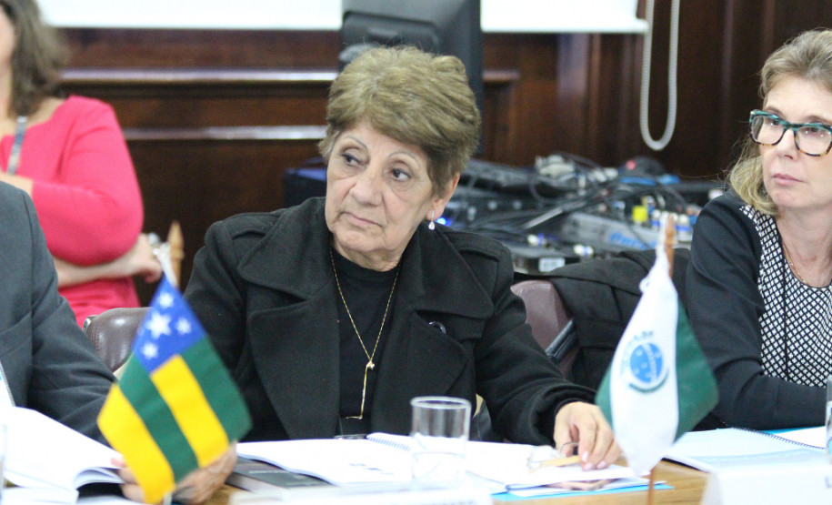 Secretários de educação de todo o país estão reunidos nesta segunda e terça-feira (25 e 26) em São Paulo para participar da 2ª reunião do Conselho Nacional de Secretários de Educação (Consed). A pauta principal do encontro é a Base Nacional Comum Curricular (BNCC) do Ensino Médio, atualmente sendo debatida em todo o país.