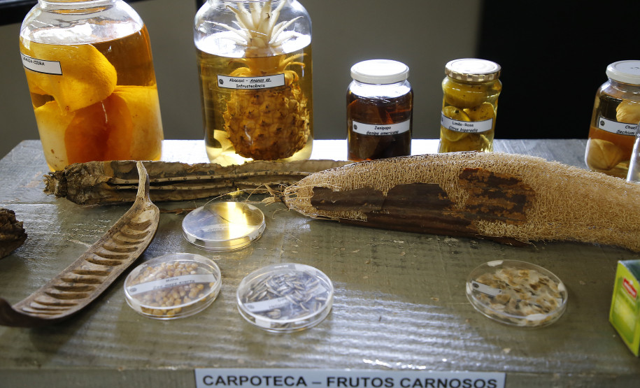 Secretaria Estadual de Educação do Paraná; Alunos de Ponta Grossa visitam o Parque da Ciências Newton Freire Maia em Quatro Barras. 09-10-18. Foto: Hedeson Alves