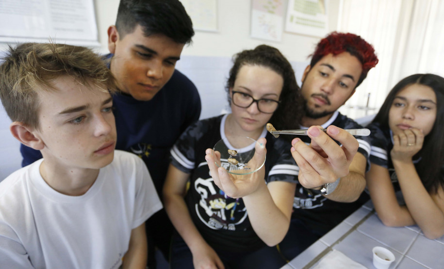 Alunos do Colégio Estadual Clotário Portugal classificaram-se em 4o lugar no concurso da NASA com o projeto Ação Apitoxina.Campo Largo, 06-12-18Foto: Arnaldo Alves / ANPr.
