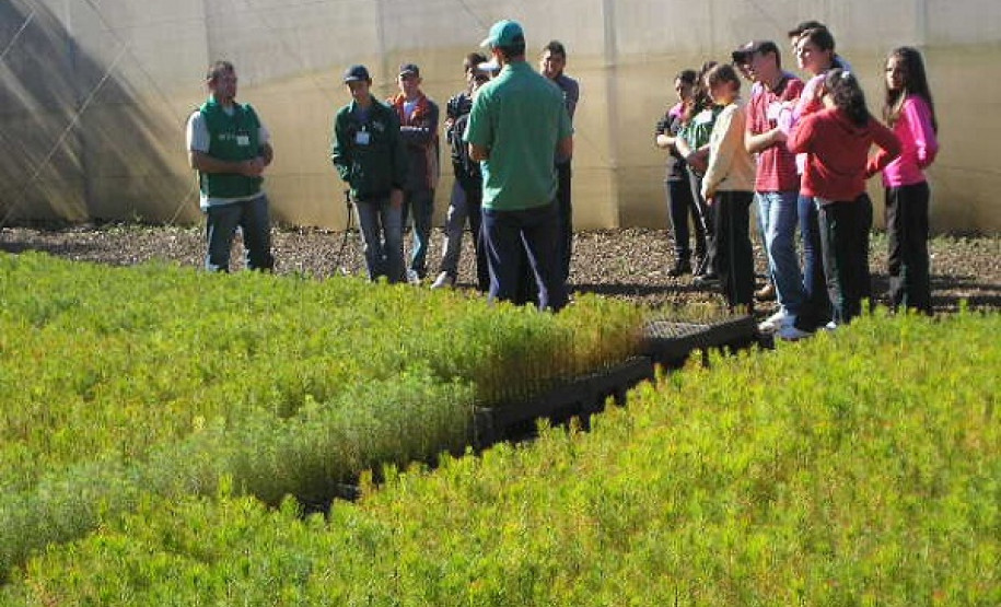 Programa Jovem Agricultor Aprendiz na SEED Neste ano, o programa abrangerá 100 escolas da rede estadual para oferta do primeiro módulo, com duração de 144 horas.