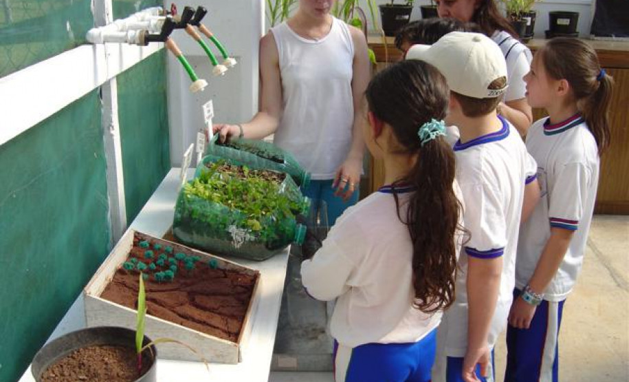 Projeto oferece oportunidade para estudantes da educação básica participarem de aulas de campo orientadas por professores da Universidade.
