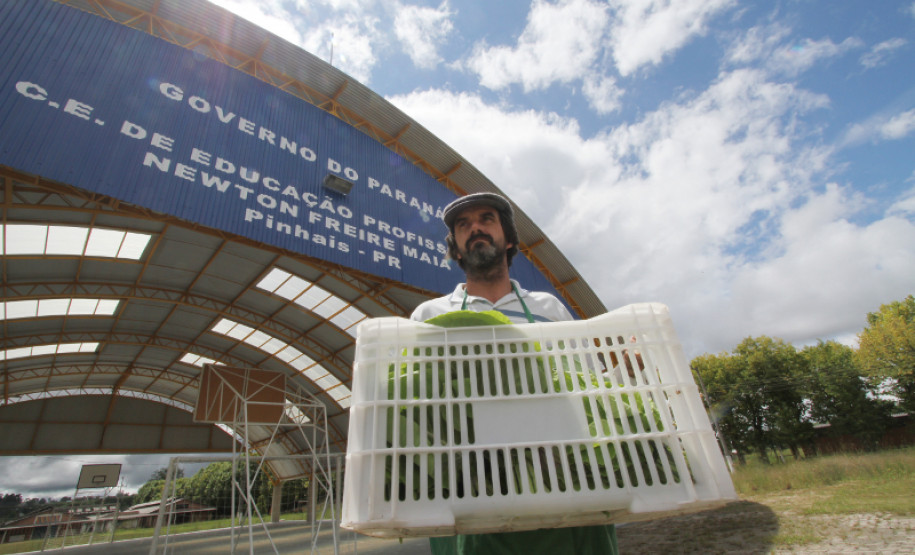 O Paraná é o primeiro estado a cumprir a legislação federal que destina 30% dos recursos do Programa Nacional de Alimentação Escolar (PNAE) à compra de produtos diretamente da agricultura familiar.