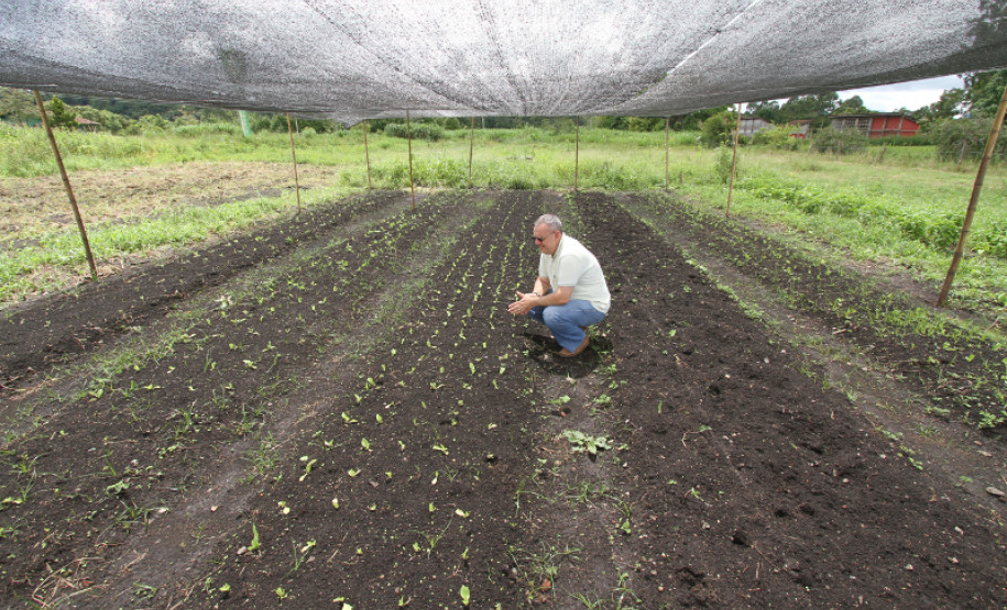Para o ano que vem, a meta é destinar para compras de produtos da agricultura familiar cerca de 35% dos R$ 80 milhões a serem repassados pelo PNAE para a alimentação nas escolas estaduais paranaenses.