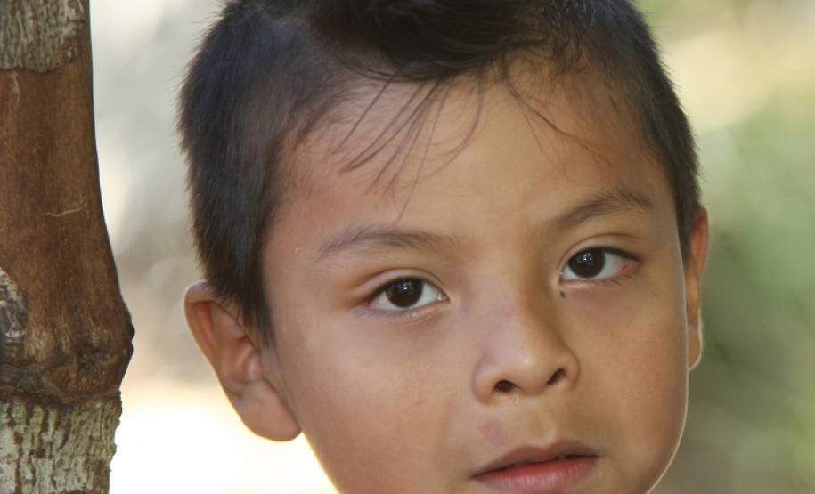 A atividade é uma continuação das ações da equipe multidisciplinar da escola que na semana passada realizou apresentação cultural da nação Fulni-ô, um dos mais tradicionais povos indígenas do Nordeste.