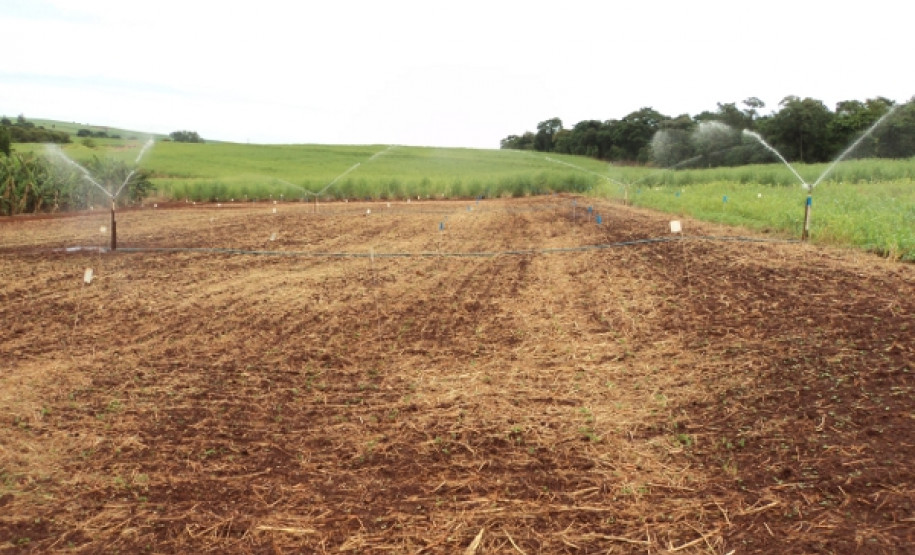 Alunos vivenciam práticas de irrigação para aumento de produção agrícola em colégio de Cambará. Formação dá subsídios para trabalho como técnico.