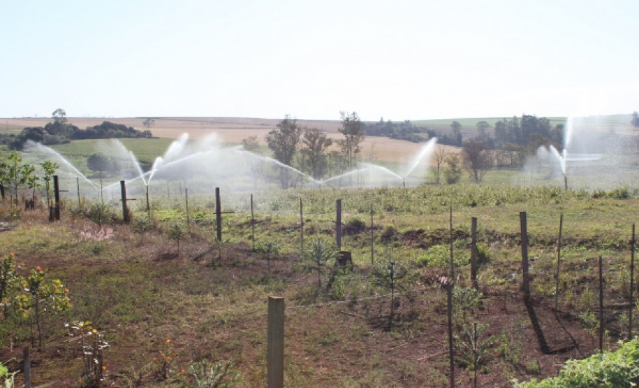 Alunos vivenciam práticas de irrigação para aumento de produção agrícola em colégio de Cambará. Formação dá subsídios para trabalho como técnico.
