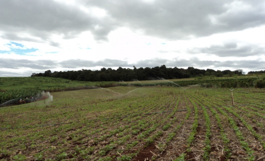 Alunos vivenciam práticas de irrigação para aumento de produção agrícola em colégio de Cambará. Formação dá subsídios para trabalho como técnico.