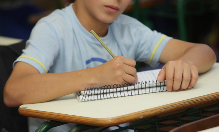 Alunos reiniciam as atividades nas escolas da rede estadual e Secretaria da Educação realiza ações do Plano de Metas do 2º semestre.